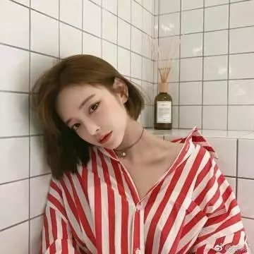 胖者生存第一季